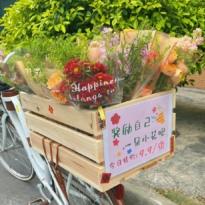 广州宠物美容知识